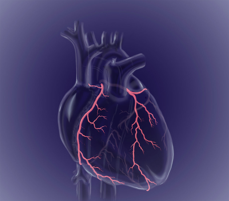 Тревожные признаки сердечной недостаточности