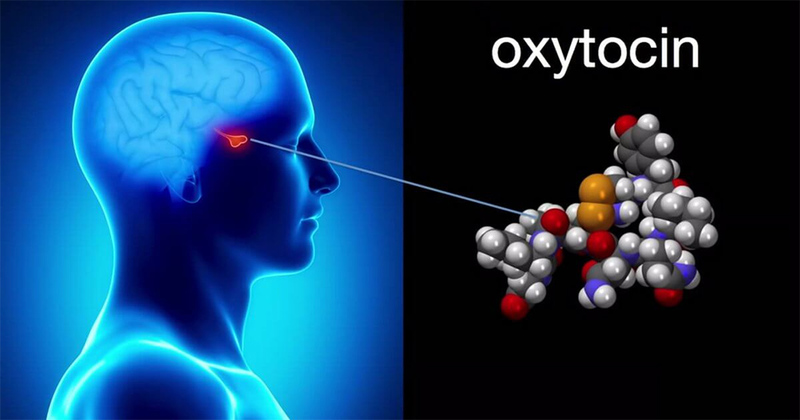Польза окситоцина и способы повышения его уровня