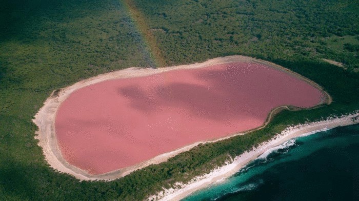 Необычное розовое озеро Хиллер.