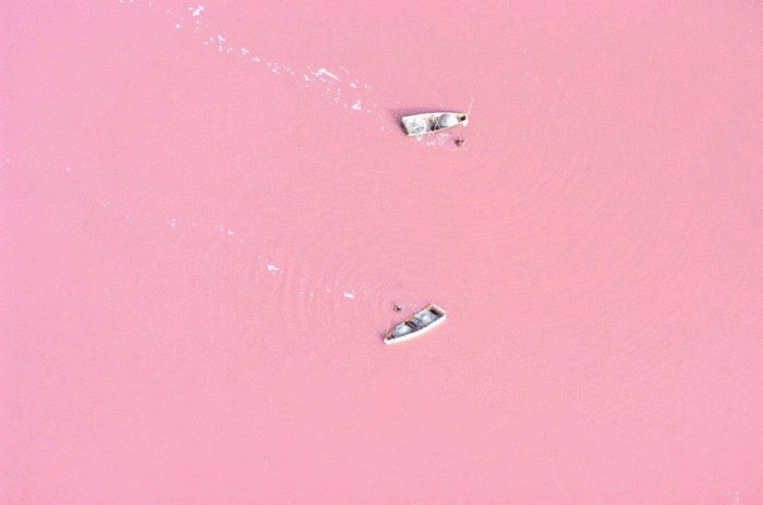 Розовые воды озера Хиллер.