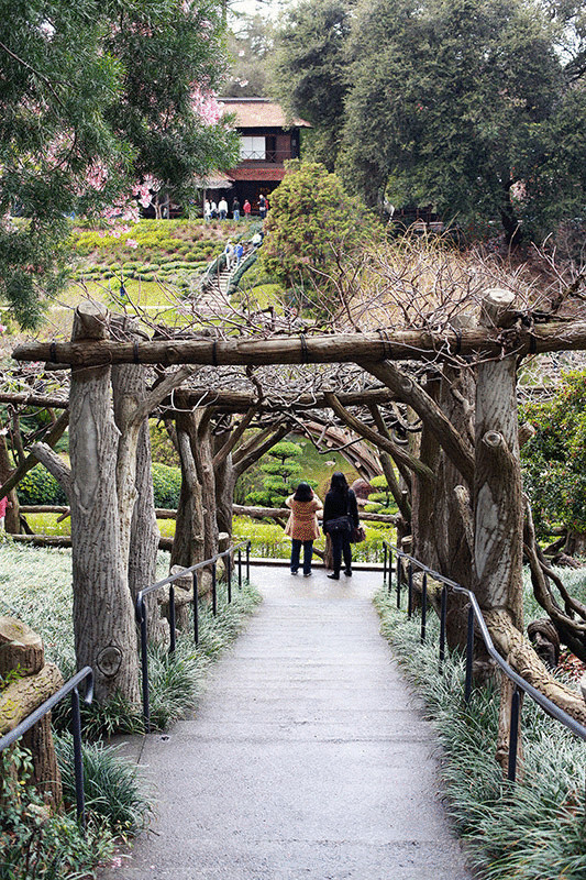  Достопримечательности Лос-Анджелеса — японский сад в Сан-Марино