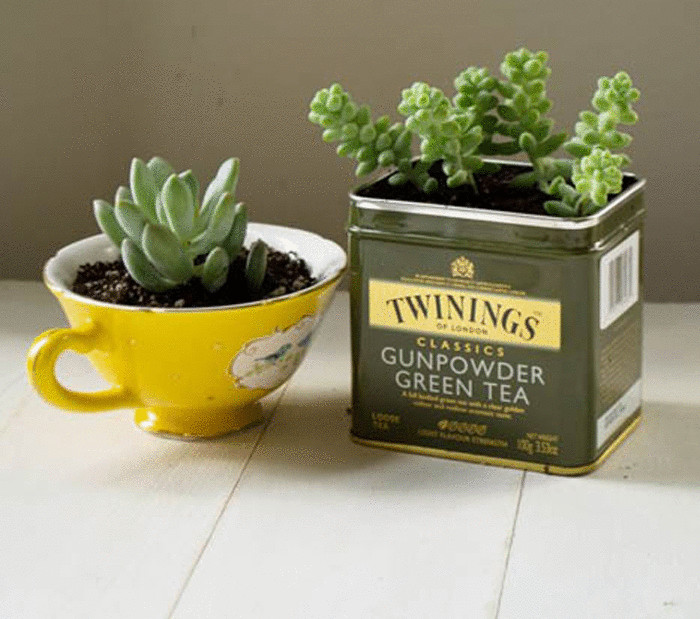 ��������, ���������� � ������ ����� � �������.