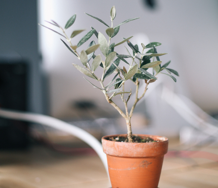 15 ������� � ��������� �������� �������� �������� �������� �������  