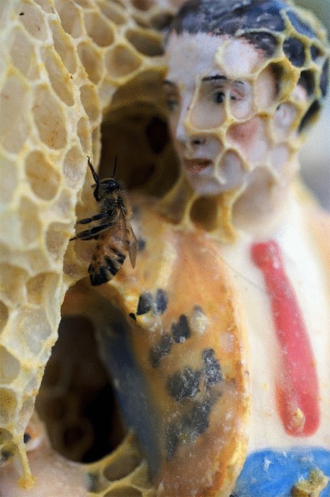 Cкульптуры, укутанные пчелиными сотами, Aganetha Dyck  