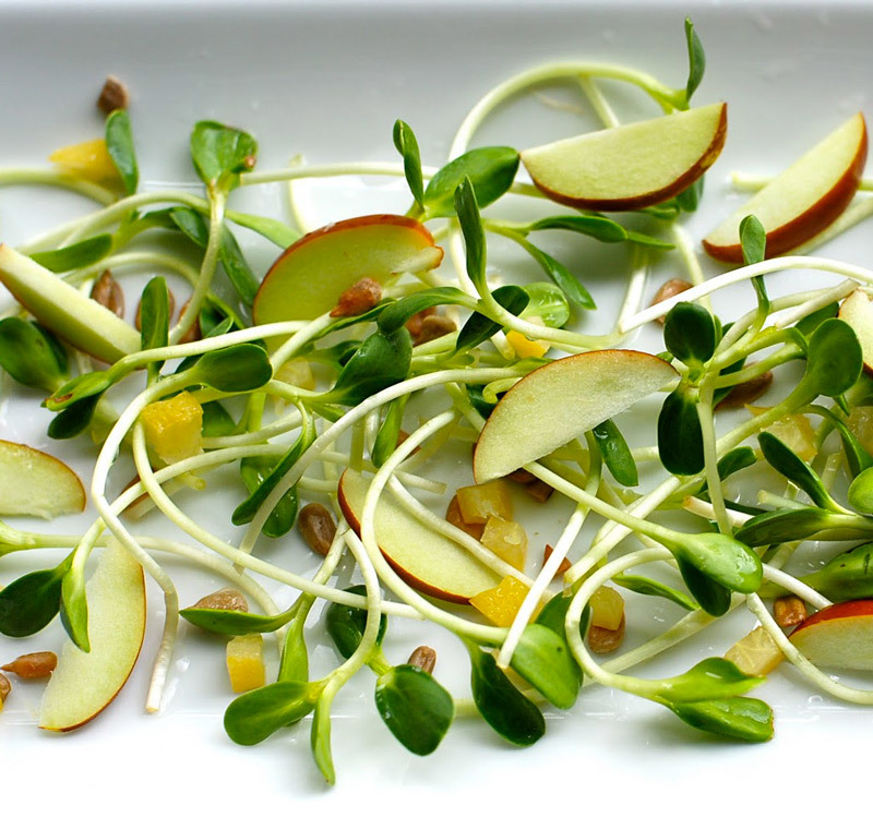 Биогенная еда — самый дешевый способ борьбы со старением Content_salad-with-sprouts20
