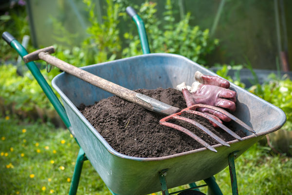 Лопата и Ко: инструменты для обработки почвы
