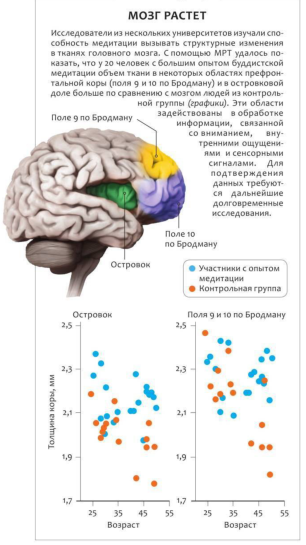 Нейробиология медитации