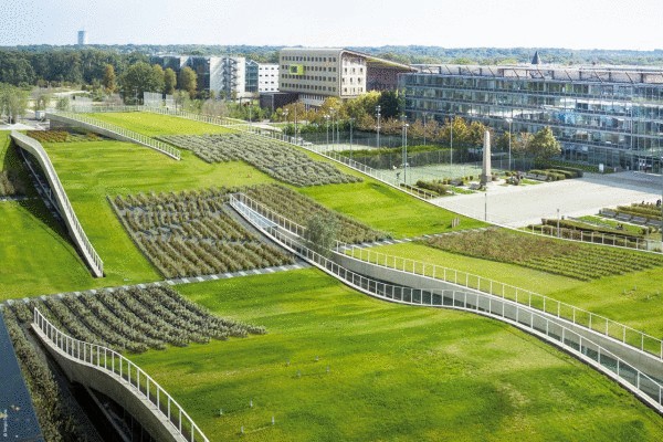 Зеленые поля на крыше университета