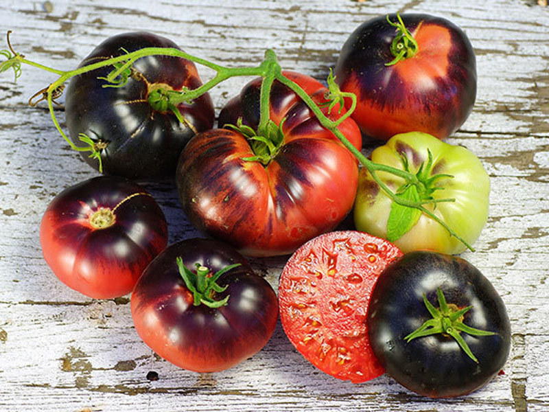 Необычные томаты для Вашей усадьбы