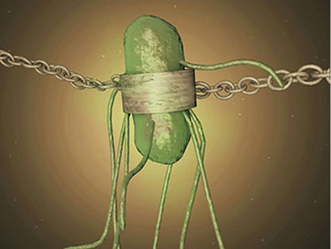 Бактерии связаны между собой всемирной генетической сетью