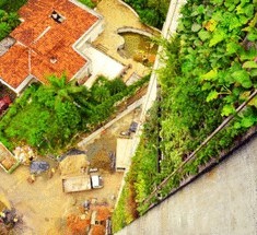 В Колумбии построили вертикальный сад высотой в 100 метров