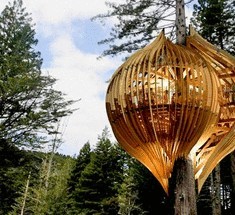 В Новой Зеландии построили необычный эко-ресторан на дереве 
