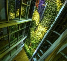 Вертикальный сад из 11 000 растений