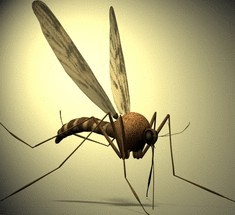 Комары-астронавты раскрывают секрет мумификации