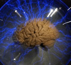 Ученые создали машину, извлекающую информацию из мозга