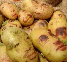Хитрости окучивания картофеля