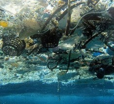 Сколько пластикового мусора плавает в океане