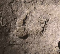 Следы Homo Sapiens из румынской пещеры оказались древнейшими в Европе