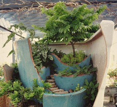Миниатюрный сад для городских жителей