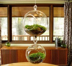 Эко-дизайн как направление в интерьере современных городов