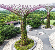 Supertree Grove – природный парк со стальными деревьями в Сингапуре 