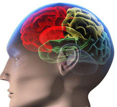 Ученые Университета Vanderbilt представили новый способ лечения эпилепсии