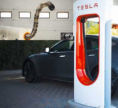         Роботы-змеи будут заправлять автомобили Tesla      