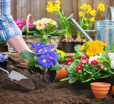 Посевной календарь для садоводов и огородников