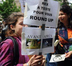 Франция официально запретила продажу гербицида Раундап Монсанто в растениеводческих питомниках