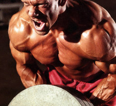 6 лучших тренажеров для мощной мускулатуры