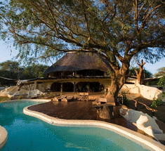 Уникальное сафари в роскошном африканском особняке 