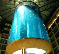 АкваДом - самый большой в мире аквариум