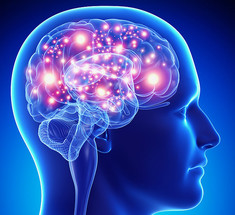 Теория нейропластичности мозга