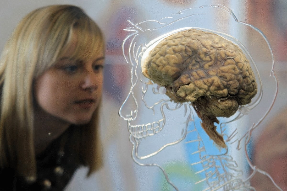 5 вещей, от которых глючит человеческий мозг