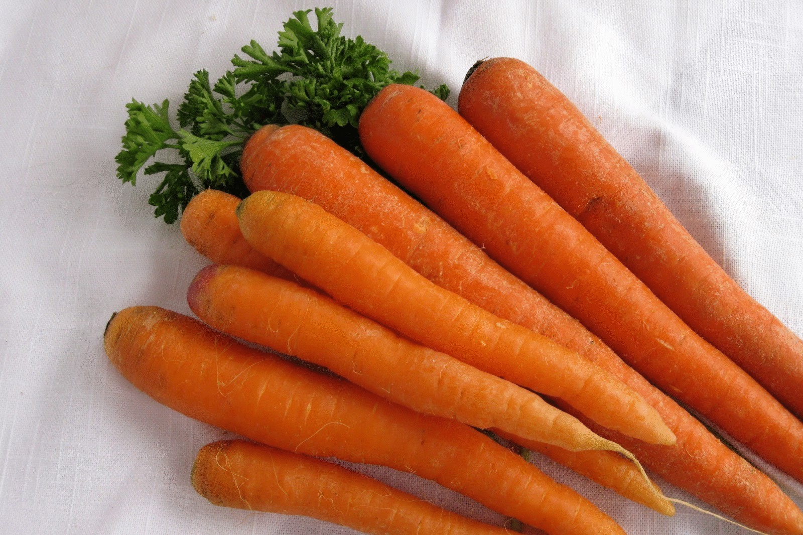 Овощи морковка