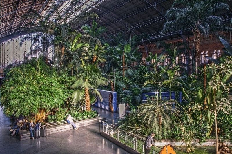 Вокзал Аточа и его тропический сад