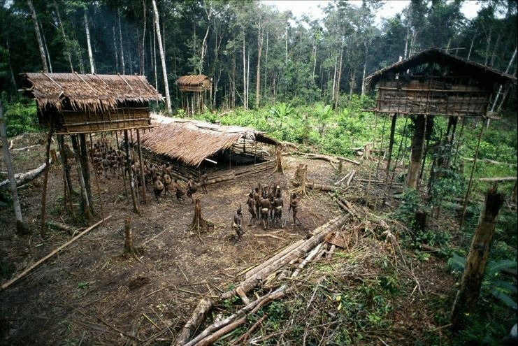Племя Короваи и их дома на деревьях