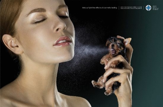 ЕС против тестирования косметики на животных