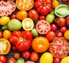 5 советов: как вырастить  экологически чистые помидоры   