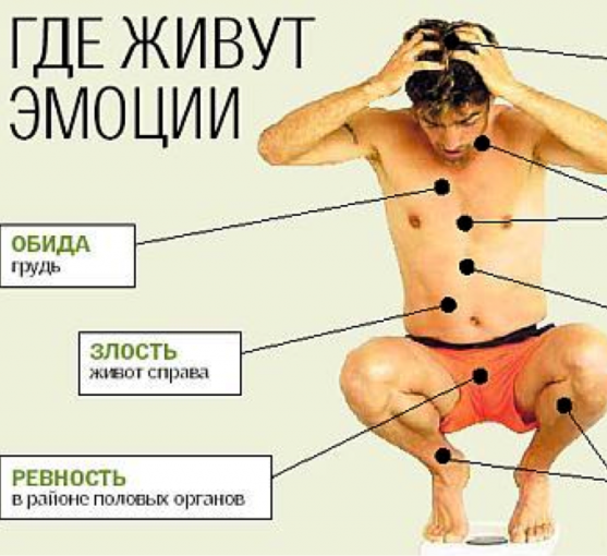 Где живут эмоции в теле человека картинки