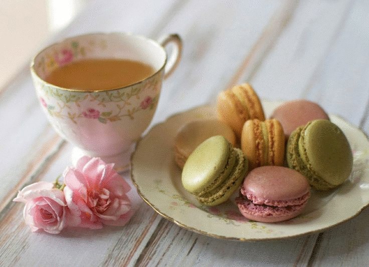 как пить чай для похудения как пить чай для похудения