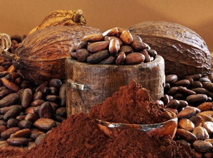 Какао порошок Organic Cocoa Powder