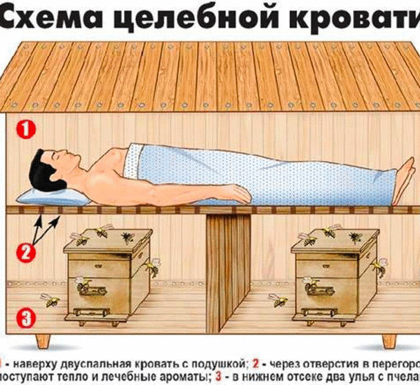 Правила расположения кроватей в палатах тест нмо