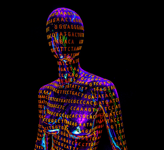 human genome human genome