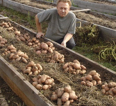 Уникальная технология посадки картофеля