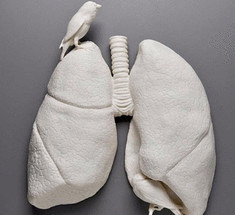 Очищение лёгких и продление жизни древнеиндийским способом