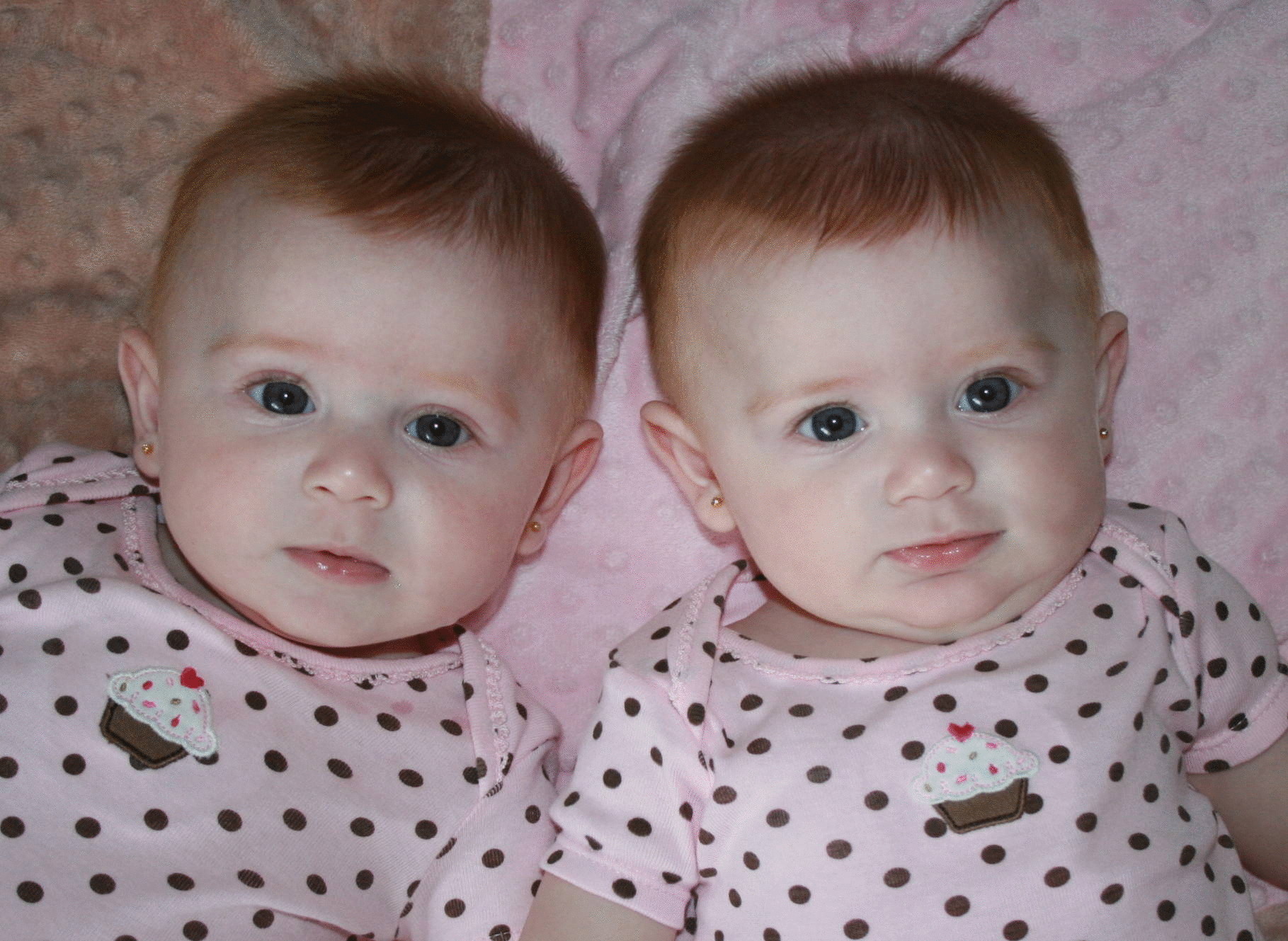 Усыновить близнецов