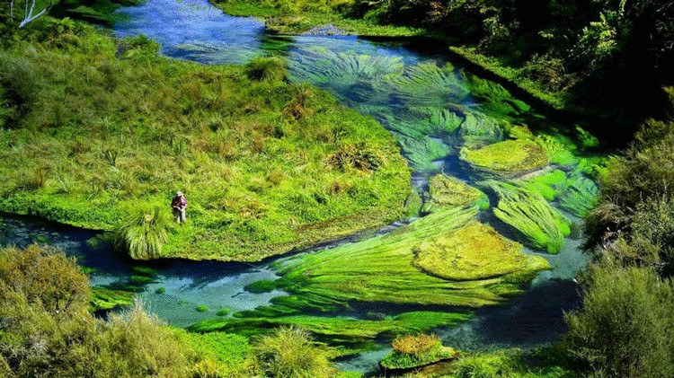 Вайху, сказочная река в Новой Зеландии