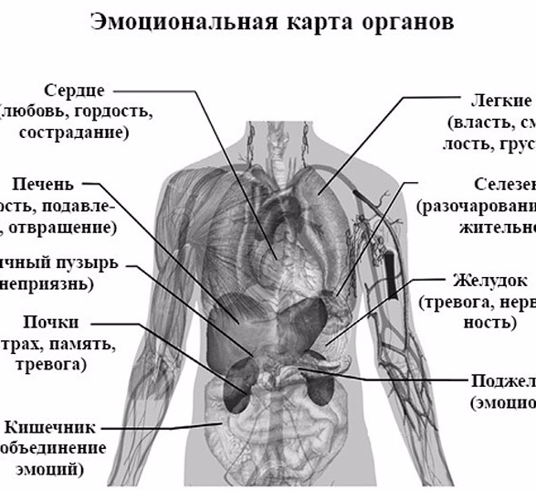 Карта тела психосоматика