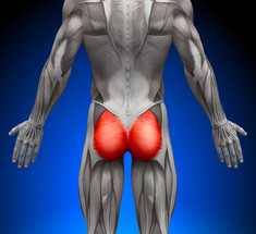 СУПЕР комплекс упражнений для ягодичных мышц